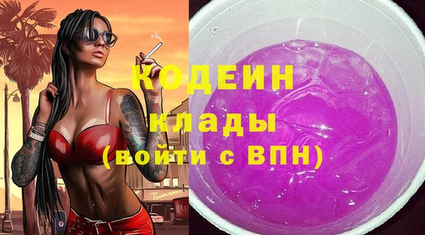 гашик Иннополис