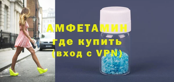 гидра Инта