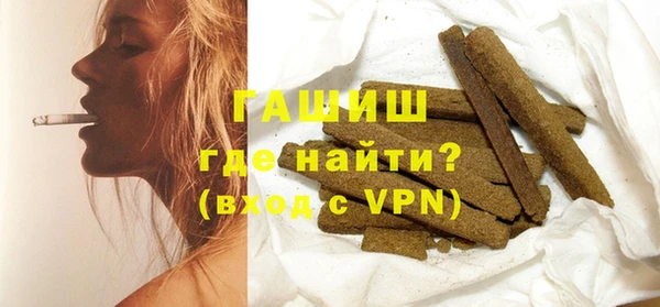 гидра Инта