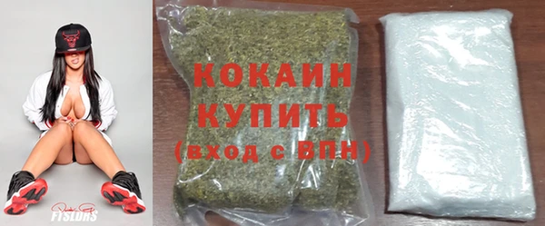 шишки Зерноград